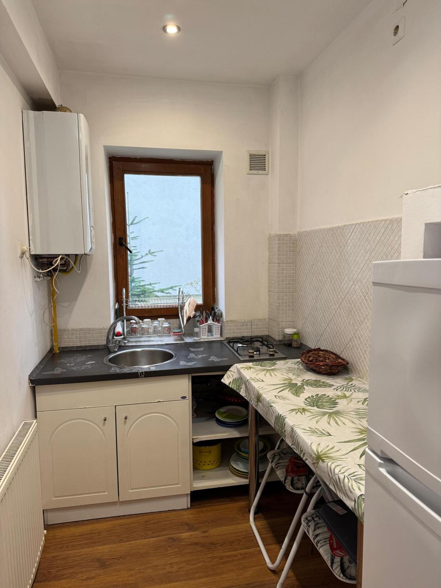 Cozy Tampa 3 Apartament *